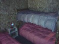 /album/fotogaleria-casa-14-en-pucon-/img-20140110-184259-jpg/