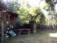 /album/fotogaleria-casa-14-en-pucon-/img-20140110-184701-jpg1/