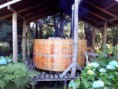 /album/fotogaleria-casa-14-en-pucon-/img-20140110-184742-jpg/